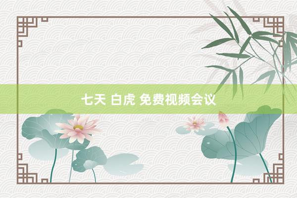 七天 白虎 免费视频会议
