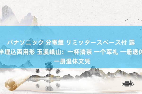 パナソニック 分電盤 リミッタースペース付 露出・半埋込両用形 玉溪峨山：一杯清茶 一个军礼 一册退休文凭
