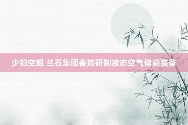 少妇空姐 兰石集团奏效研制液态空气储能装备