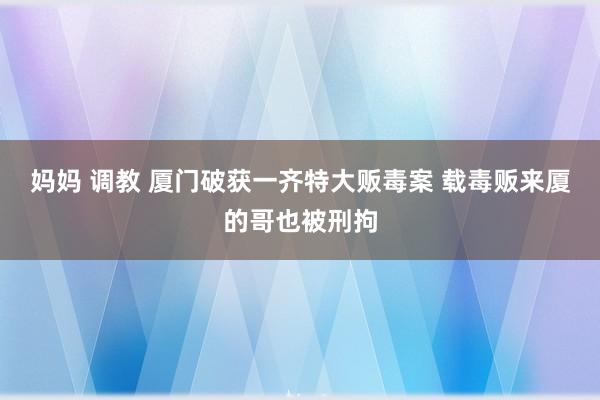 妈妈 调教 厦门破获一齐特大贩毒案 载毒贩来厦的哥也被刑拘
